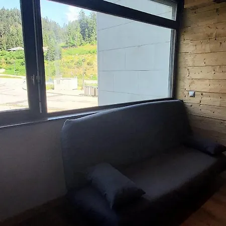 Belle Hutte 8bis, Vue Pistes * La Bresse
